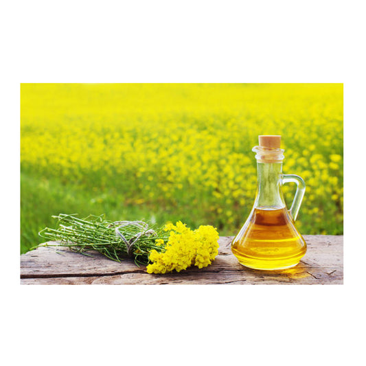 Sunflower Oil - Bulk