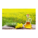 Sunflower oil – Bulk quantity – Origin: Europe, Asia