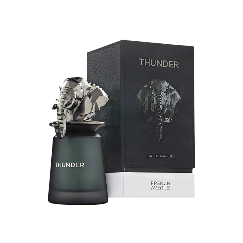 FRENCH AVENUE Thunder 100ML EDP - Men