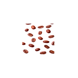 Coffee Beans - Bulk