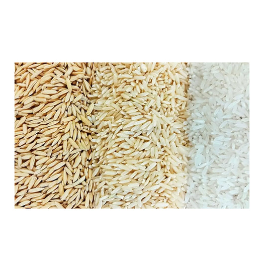 RICE - BULK QUANTITY - ORIGIN: INDIA, PAKISTAN