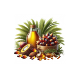 Palm Oil - Bulk